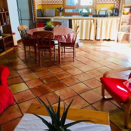 Rez De Jardin De Chalet Bois , Calme Et Verdure ! Saint-Martin-Vésubie Екстериор снимка